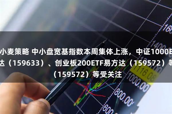 小麦策略 中小盘宽基指数本周集体上涨，中证1000ETF易方达（159633）、创业板200ETF易方达（159572）等受关注