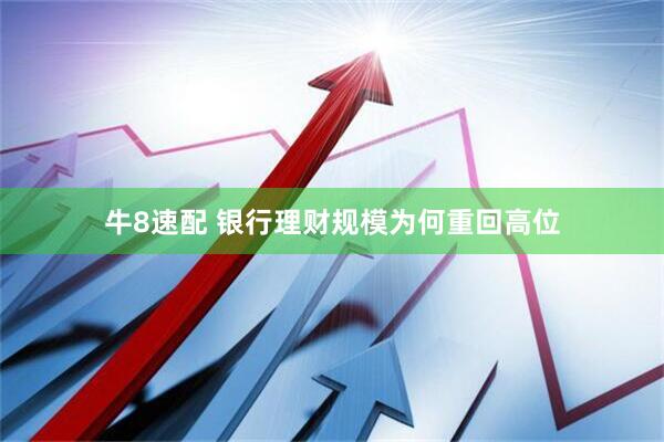 牛8速配 银行理财规模为何重回高位