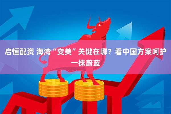 启恒配资 海湾“变美”关键在哪？看中国方案呵护一抹蔚蓝