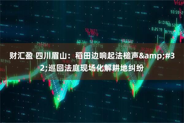 财汇盈 四川眉山：稻田边响起法槌声&#32;巡回法庭现场化解耕地纠纷