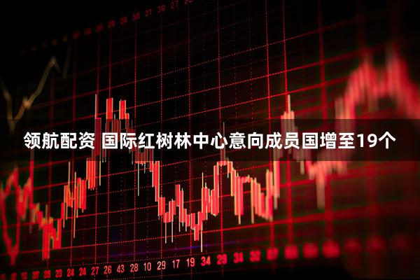 领航配资 国际红树林中心意向成员国增至19个