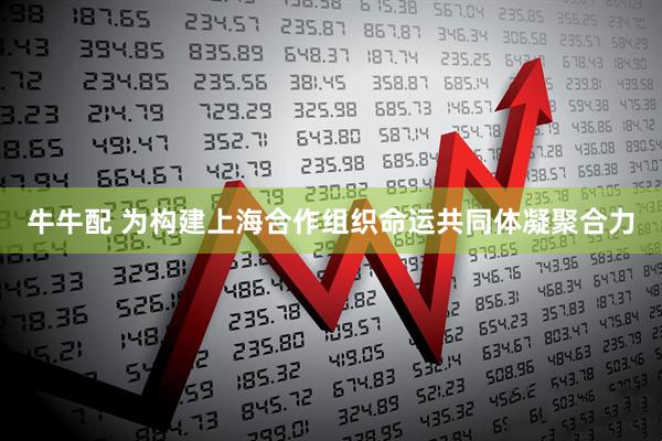 牛牛配 为构建上海合作组织命运共同体凝聚合力
