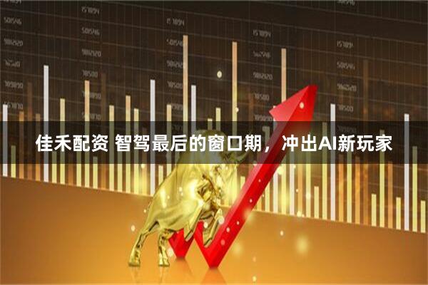 佳禾配资 智驾最后的窗口期，冲出AI新玩家