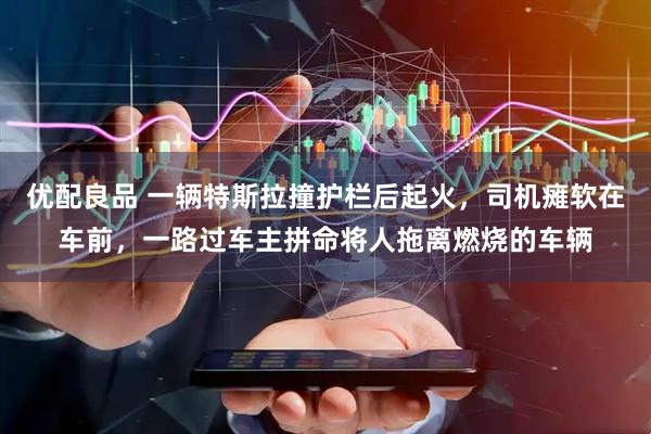 优配良品 一辆特斯拉撞护栏后起火，司机瘫软在车前，一路过车主拼命将人拖离燃烧的车辆